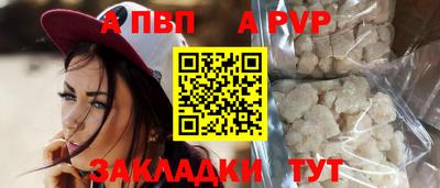 хмурый Кингисепп