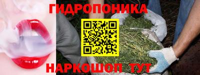 хмурый Кингисепп
