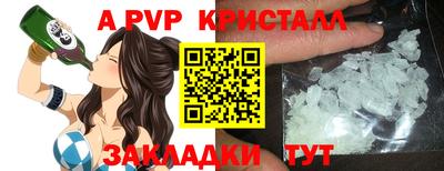 хмурый Кингисепп