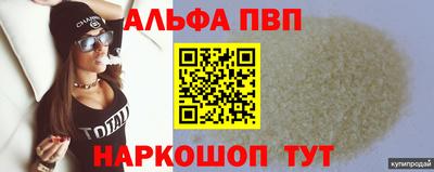 хмурый Кингисепп