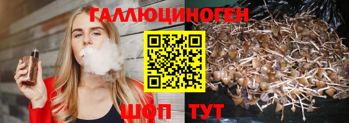 Псилоцибиновые грибы GOLDEN TEACHER Еманжелинск