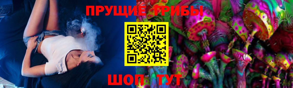 Псилоцибиновые грибы Psilocybine cubensis  Вход с VPN  Еманжелинск 